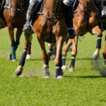 Dalby Picnic Races After Party